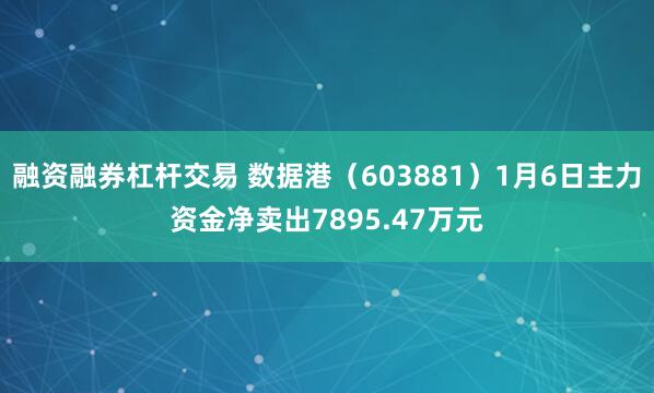 融资融券杠杆交易 数据港（603881）1月6日主力资金净卖出7895.47万元