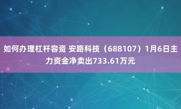 如何办理杠杆容资 安路科技（688107）1月6日主力资金净卖出733.61万元