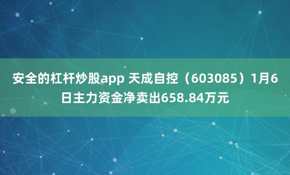 安全的杠杆炒股app 天成自控（603085）1月6日主力资金净卖出658.84万元