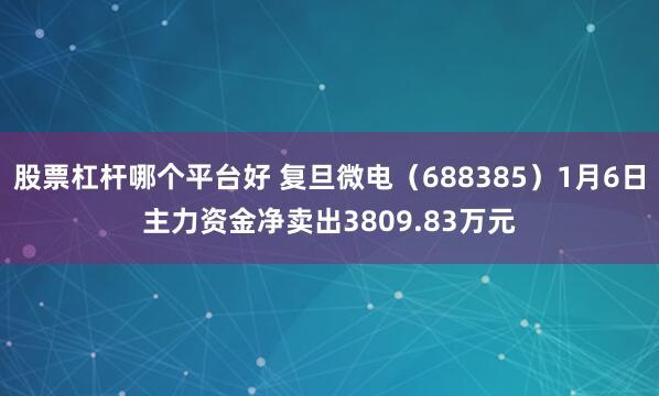 股票杠杆哪个平台好 复旦微电（688385）1月6日主力资金净卖出3809.83万元