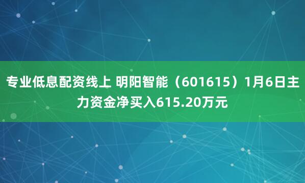 专业低息配资线上 明阳智能（601615）1月6日主力资金净买入615.20万元