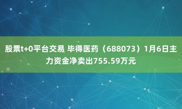 股票t+0平台交易 毕得医药（688073）1月6日主力资金净卖出755.59万元