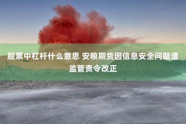 股票中杠杆什么意思 安粮期货因信息安全问题遭监管责令改正