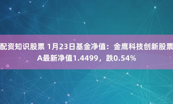 配资知识股票 1月23日基金净值：金鹰科技创新股票A最新净值1.4499，跌0.54%