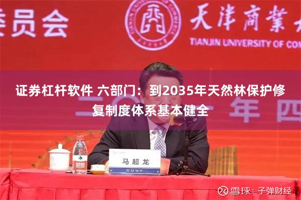 证券杠杆软件 六部门：到2035年天然林保护修复制度体系基本健全