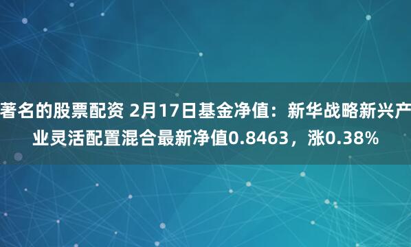 著名的股票配资 2月17日基金净值：新华战略新兴产业灵活配置混合最新净值0.8463，涨0.38%