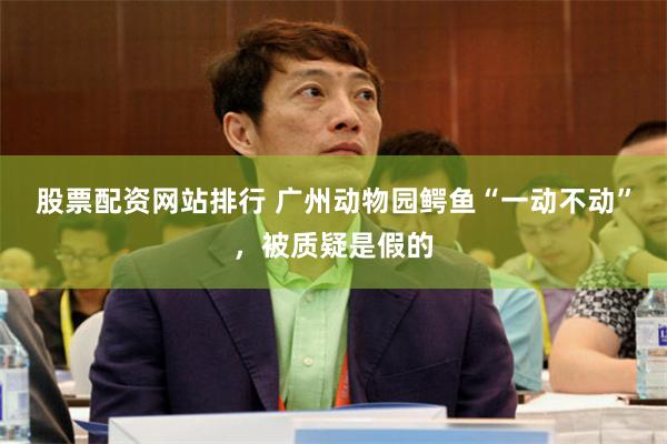 股票配资网站排行 广州动物园鳄鱼“一动不动”，被质疑是假的