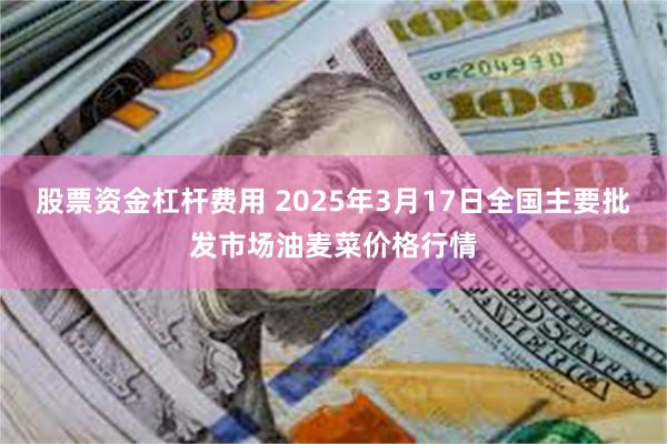 股票资金杠杆费用 2025年3月17日全国主要批发市场油麦菜价格行情