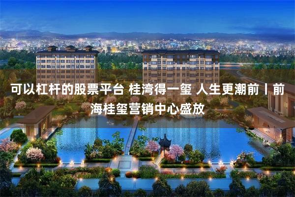 可以杠杆的股票平台 桂湾得一玺 人生更潮前丨前海桂玺营销中心盛放